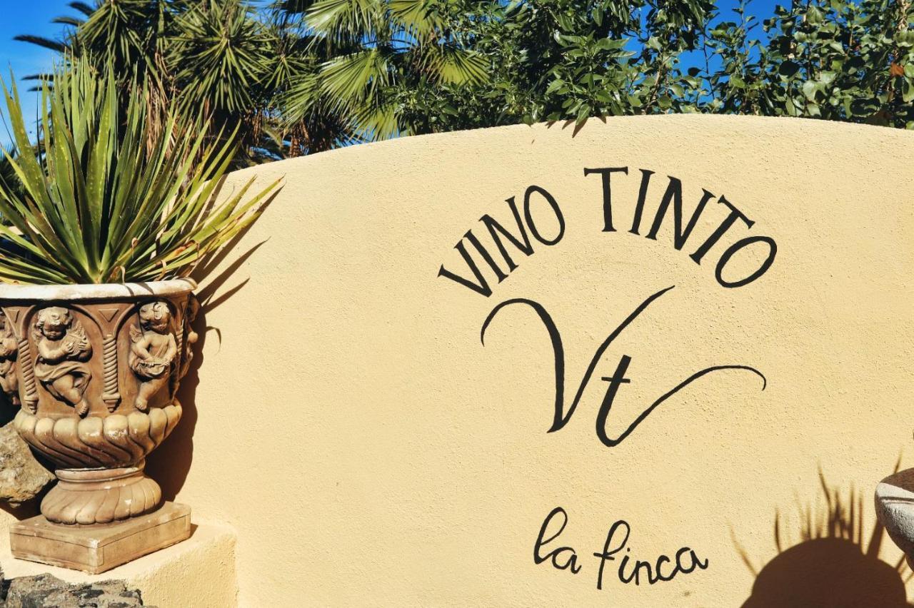 Finca Vino Tinto 1 イコー・デ・ロス・ビノス エクステリア 写真