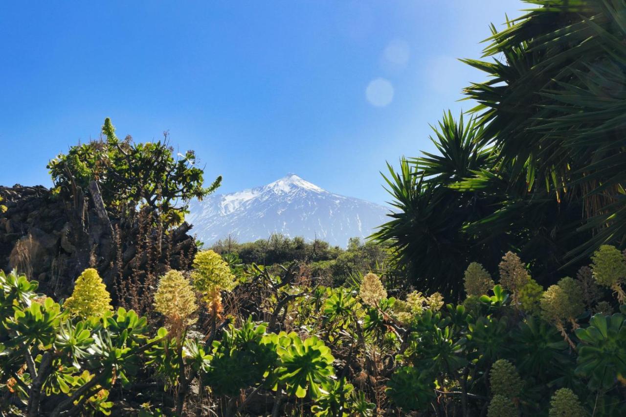 Finca Vino Tinto 1 イコー・デ・ロス・ビノス エクステリア 写真
